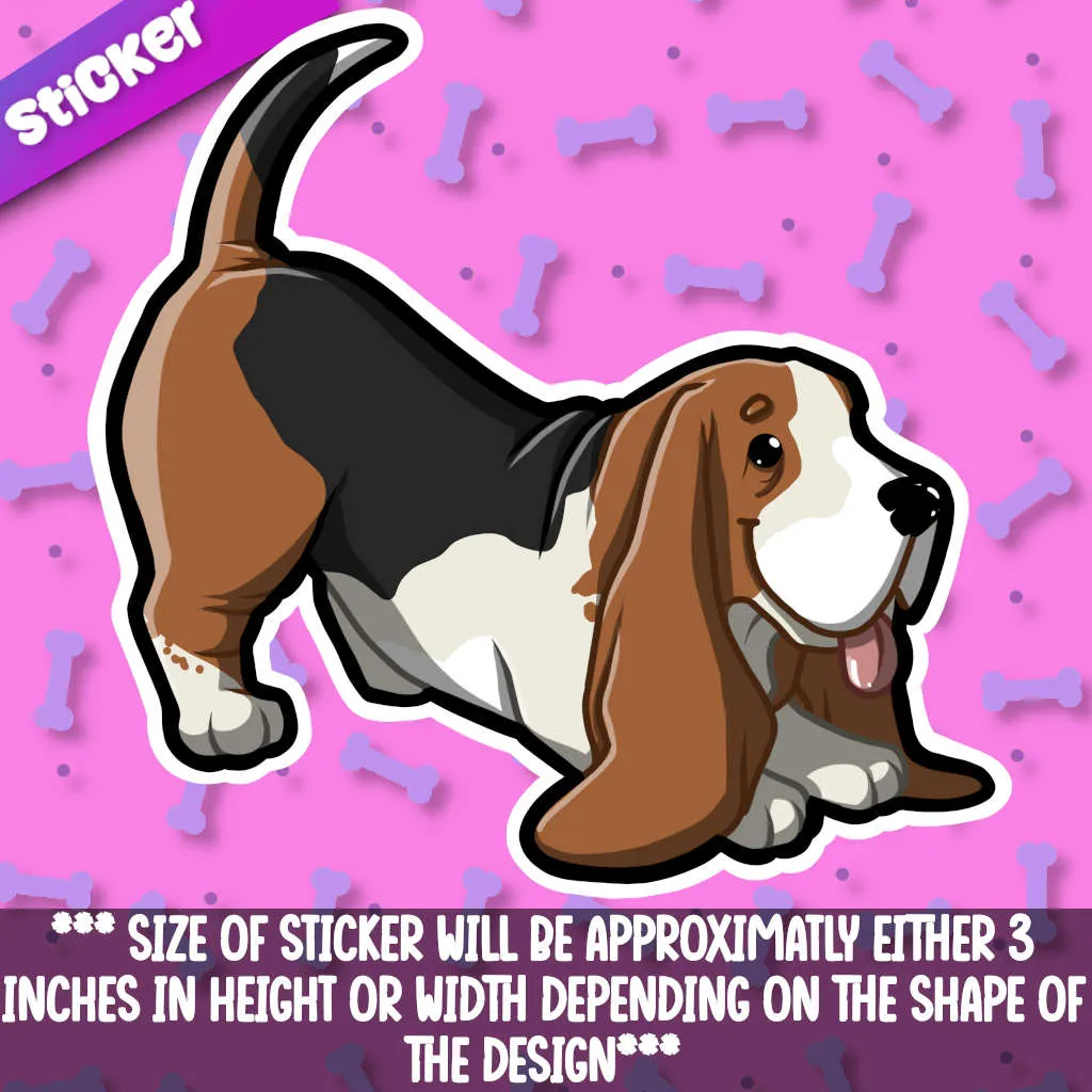 Basset Hound 3-Playful